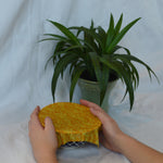 Charger l'image dans la galerie, Ensemble de 3 emballages Beeco